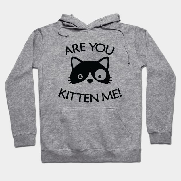 Are You Kitten Me - Cute Black Cat Art Hoodie by Julorzo